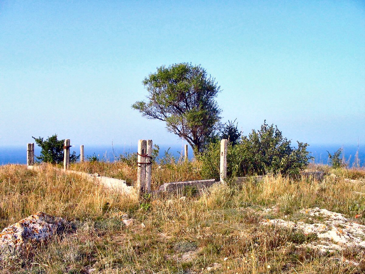 This image made in august 2004  
by digital camera Canon PowerShot A75