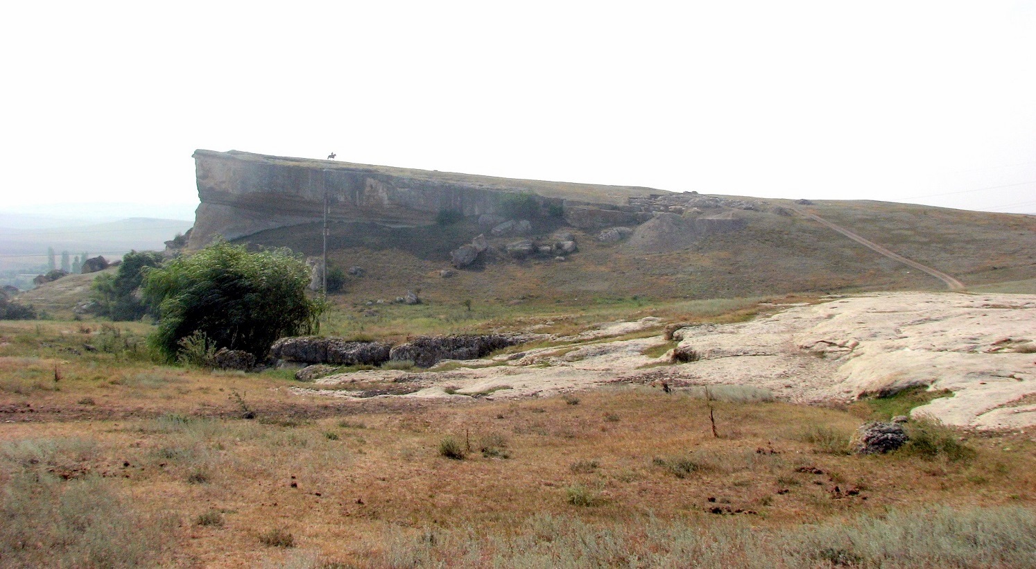 This image made in august 2013  
by digital camera Canon PowerShot S3 IS5