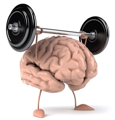 Тренировать мышцы или мозг?..